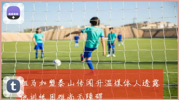 祖马加盟泰山传闻升温媒体人透露他训练困难尚无障碍
