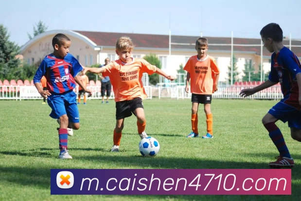 多媒体互动体验