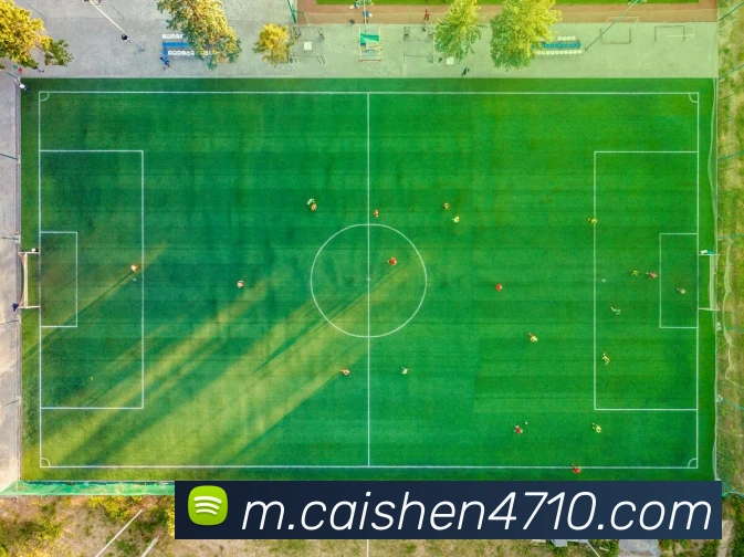 彩神vllAPP 高清赛事图